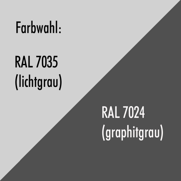 Waffenschrank EN 1143-1 Capriolo 5